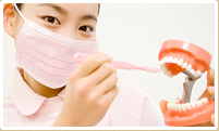 4. 矯正中の歯磨き指導